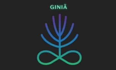 giniä