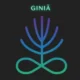 giniä